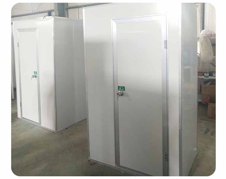 凈化板雙人雙吹風淋室?guī)齑?